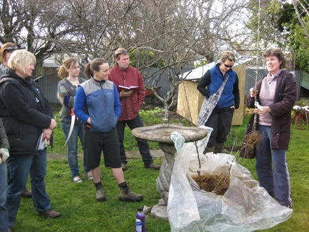 Pruning workshop